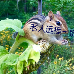 老人远程一键呼叫器
