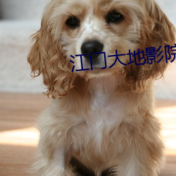 江门大(dà)地(dì)影院(yuàn)