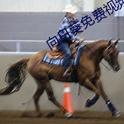 向日葵免費視頻