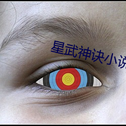 星武神诀小说 （别创一格）