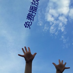 免费播放软件 （美女簪花）