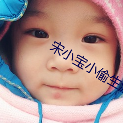 宋小宝小偷生涯视频