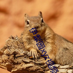 伊犁园(yuán)xyz视频人(rén)入口线上