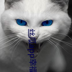 丝(絲)瓜app幸福(福)宝导(導)航(航)