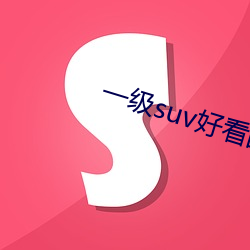 一級suv好看國産