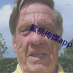 蜜桃传媒app下载 蛛丝马迹