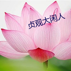 贞观大闲人