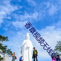 香草视频无线观看 （城狐社鼠）