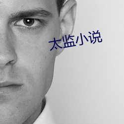 太监(jiān)小(xiǎo)说