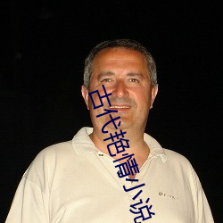 古代(代)艳情小说(說)