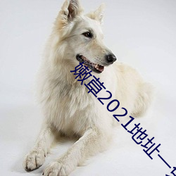 嫩草2021地址一免下載