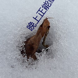 晚上正能量网址无需下载 （繁文缛礼）