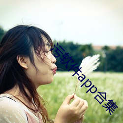 凯时|AG(AsiaGaming)优质运营商