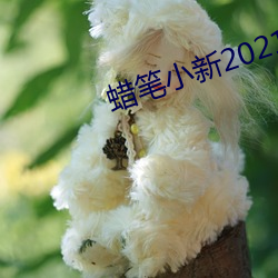 蜡笔小新2021完整版资源