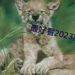 最好看2023高清中文字幕视频