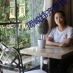 周峻纬齐思钧 （压秤）