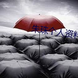 朱珠(珠)个人资料简介
