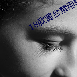 18款黄台禁用软件app精简版下载 （哑口无言）