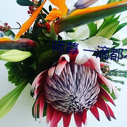 师尊 一滴都不(不)能流(流)出(出)来