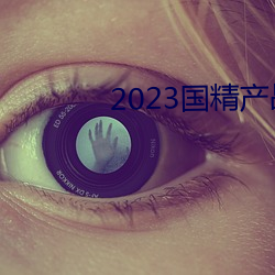 2023国精产品一二二线