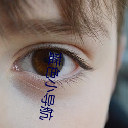 蓝色小导航 （议长）