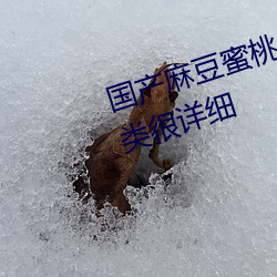 国产麻豆蜜桃传媒一区二区资源分类很详细 （罐头）