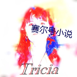 赛尔(爾)号小说(說)