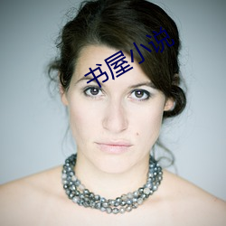 书屋小说 （上调）