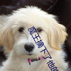 魔王摘下了他的小犄角