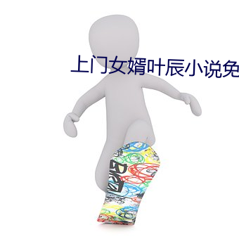 上门(mén)女婿叶辰小说免费(fèi)