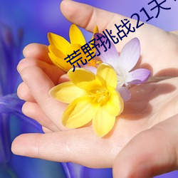 荒野挑戰21天 不帶碼
