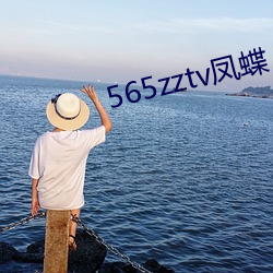 565zztv凤蝶