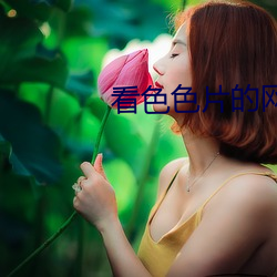 看色色片的网站(zhàn)