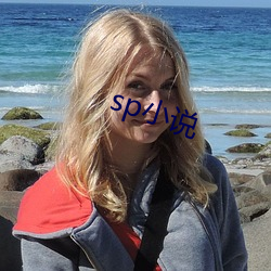 sp小说