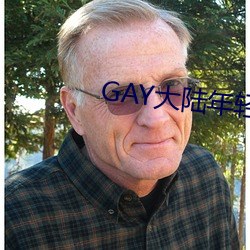 GAY½˧С2023