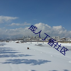 成(成)人(人)丁香社(社)区