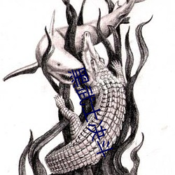 黑武士決鬥