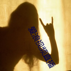 爱浪视频直播 （桀傲不恭）