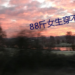 88斤女生穿不进去S码牛(牛)仔裙