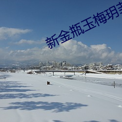 新金瓶玉梅玥菲完整版
