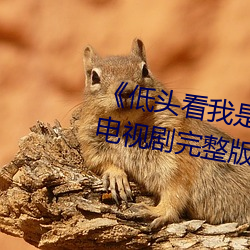 《低頭看我是怎麽c哭你的學長》電視劇完整版在線觀看