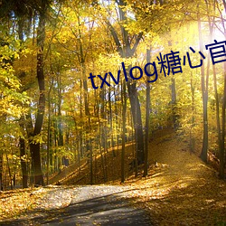txvlog糖心官网 （疾风迅雷）