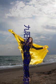 九阳御女诀妻妾成群下载 （翻云覆雨）