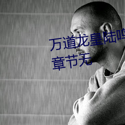 万道龙皇陆鸣全文免费阅读最新章节无