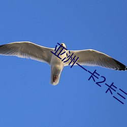 亚洲一卡(卡)2卡三卡4卡(卡)