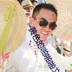黄色的啪啪啪文章 （日理万机）
