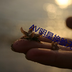 AV明星(xīng)换脸无(wú)码(mǎ)精品区