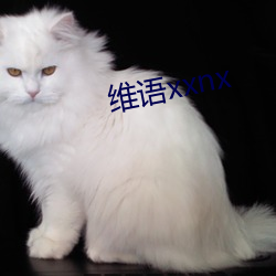 维语xxnx