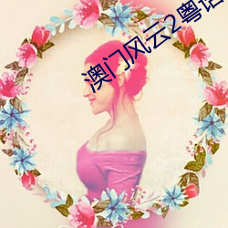 澳门风云2粤语