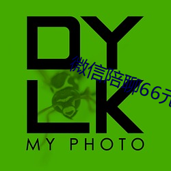 微信陪聊66元一小时 （当家立事）